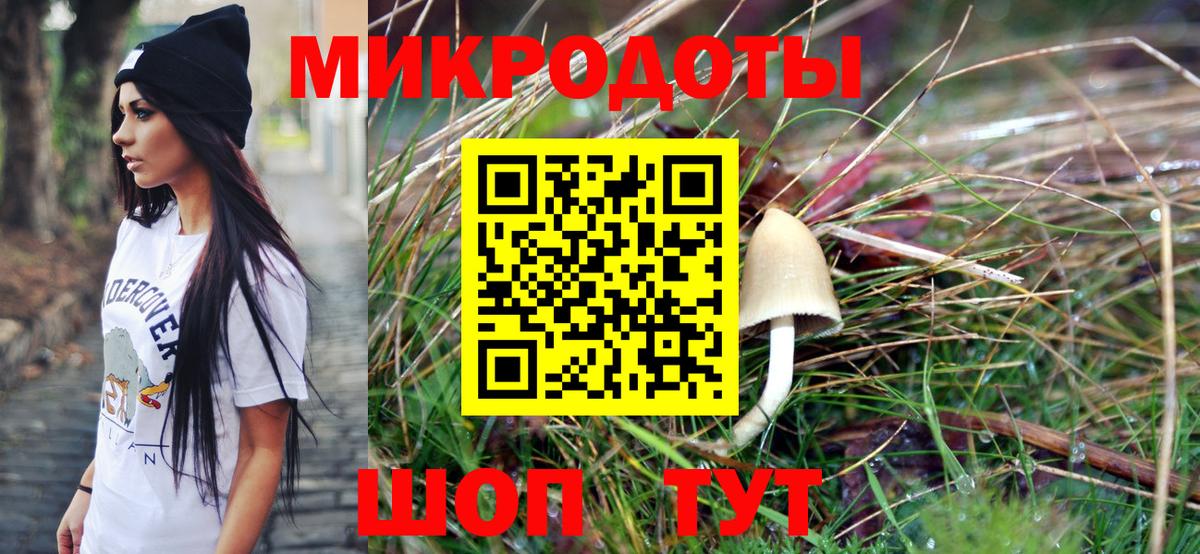 МЕФ Королёв